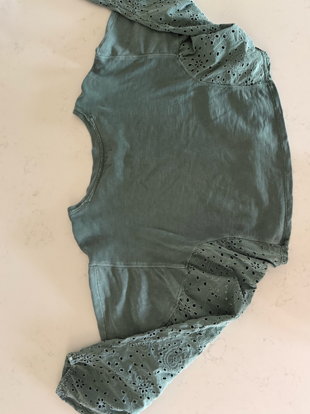 PILCRO for Anthropologie - Eyelet Long-Sleeve Cropped Top in Sage Green - Picture 5 of 7